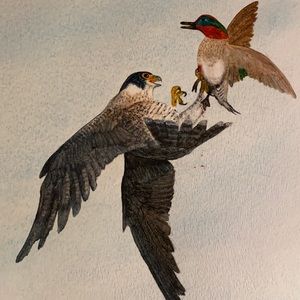 Original Watercolor 16x20 Flying Catch